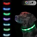 LED Dog Collar