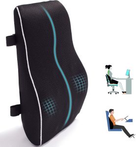 Back Cushion Lumbar Support Pillow