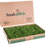 Fresh Patch Disposable Dog Potty with Real Grass