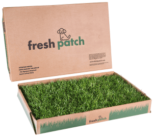 Fresh Patch Disposable Dog Potty with Real Grass