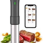 Sous Vide Art Precision Circulator Temperature Immersion Cooker