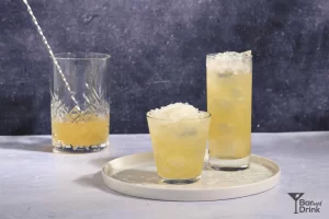 Cactus Cooler Orange Pineapple Soda