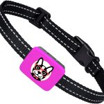 Small Dog Bark Collar with Vibration