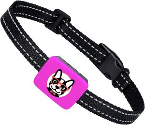 Small Dog Bark Collar with Vibration