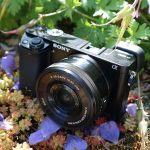 Sony Alpha a6000 Mirrorless Digital Camera