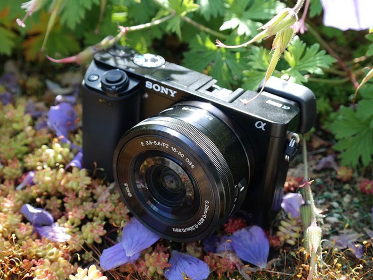 Sony Alpha a6000 Mirrorless Digital Camera