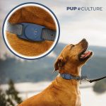 Pup Culture Protective Waterproof Dog Collar with GPS Trackers