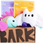 BarkBox Subscription Box