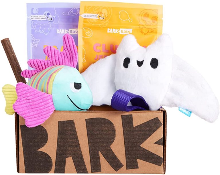 BarkBox Subscription Box