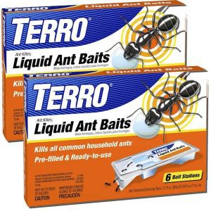 TERRO T300B Liquid Ant Baits - 2 Pack