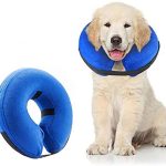 Protective Inflatable Collar for Dogs