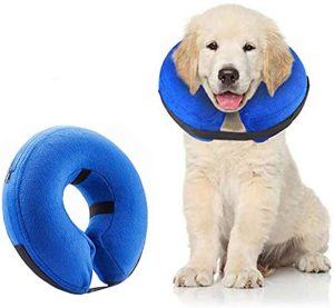 Protective Inflatable Collar for Dogs