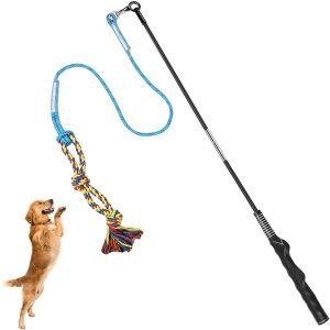 Flirt Pole for Dogs: Strong Non-Bungee Version