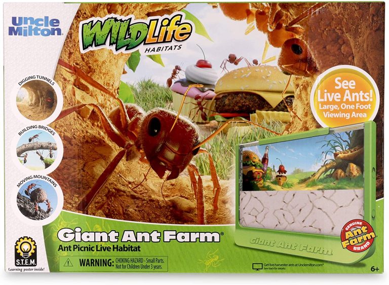 Uncle Milton Giant Ant Farm