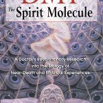 DMT: The Spirit Molecule