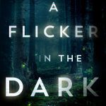 Flicker Dark Novel