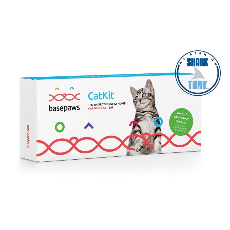 Basepaws Cat DNA Test - Genetic Discovery Kit for Cats & Wildcat Markers