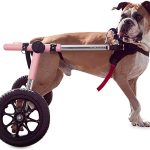 Walkin' Wheels Dog Wheelchair