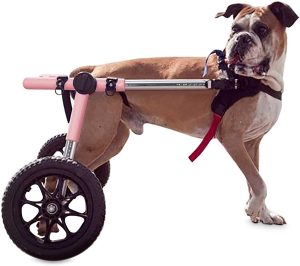 Walkin' Wheels Dog Wheelchair