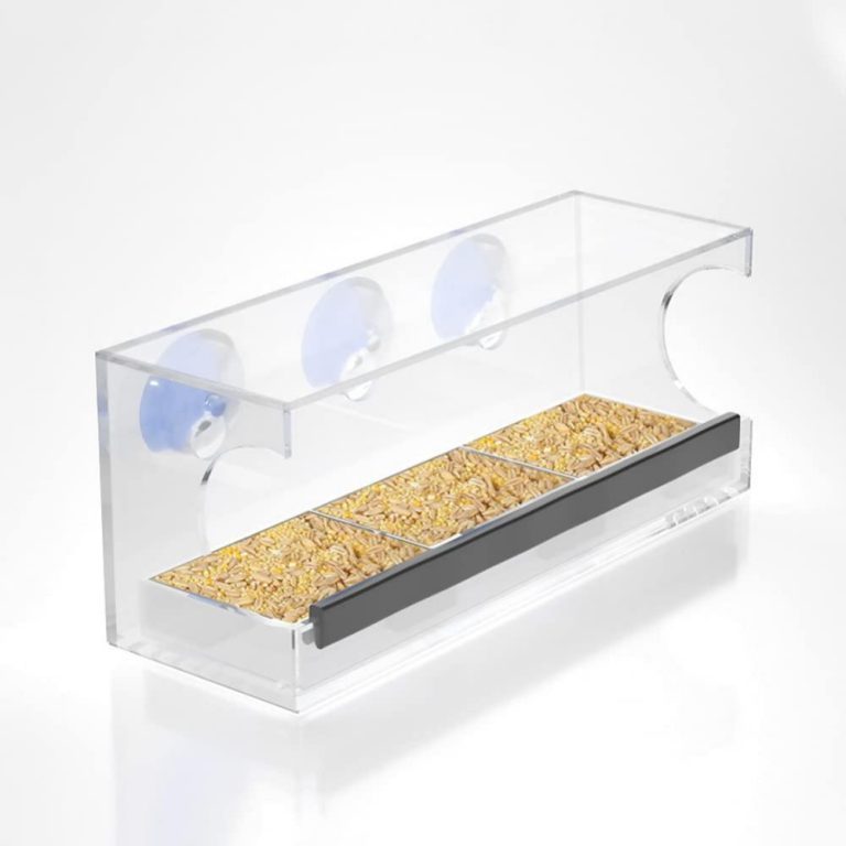 Clear Window Bird Feeder