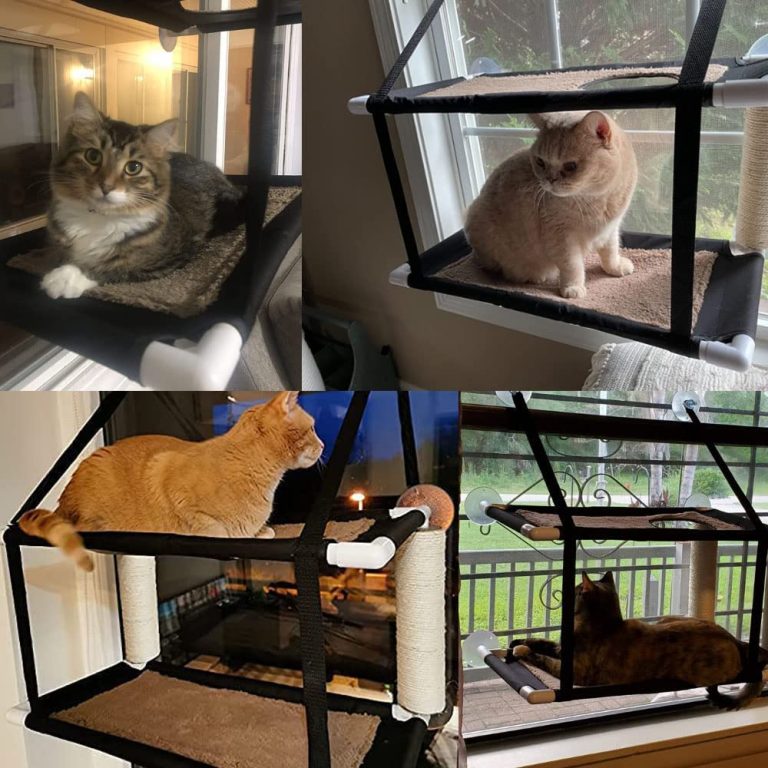 Window Hammock Cat Bed